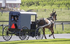 There's an Amish Version of Uber That Uses a Horse and Buggy