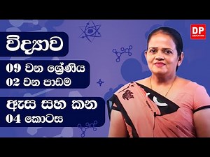 02 වන පාඩම (ඇස සහ කන - 04 කොටස) | 09 වන ශ්‍රේණිය විද්‍යාව