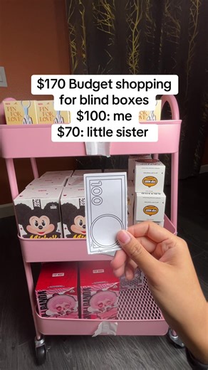 Exploring $170 Budget Shopping for Blind Boxes