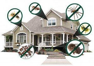 Residential Pest Control Conroe TX | Full Scope Pest Control