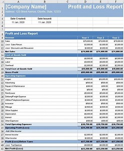 Profit and Loss Statement Template - Free Download