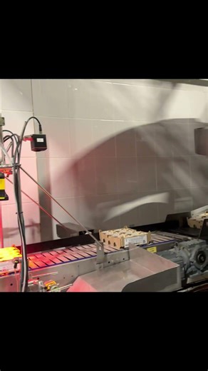 Food packaging weighing and automatic labeling production line #checkweigher #weighingmachine