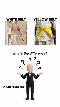 What Each Karate Belt REALLY Means🥋🥋#shorts #english #learnenglish #difference