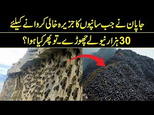 What NASA Says About Mongoose And Snakes | Reality Facts