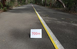 Longest Hot Wheels track