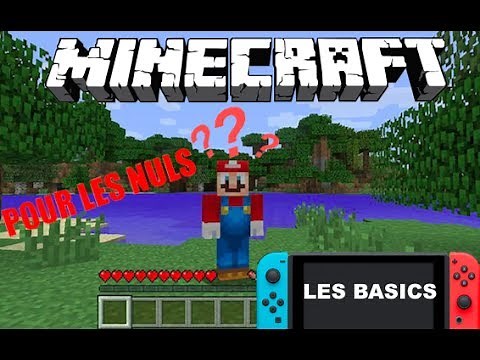 MINECRAFT POUR LES DEBUTANTS | TUTO BASICS | NINTENDO SWITCH EDITION
