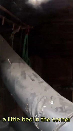 What's Inside this ANCIENT Off the Grid Cabin in Alaska? #shorts