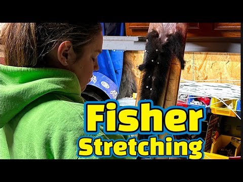 Stretching Fisher : The Proper Techniques