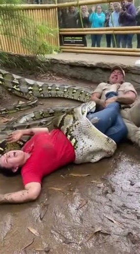 The huge snake almost ate the woman in zoo