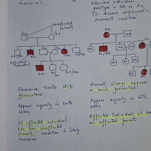 How to Analyze Pedigrees (Genetics & Ancestry)