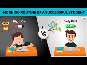 Morning Routine of a Successful Student | Morning Habits of a Successful Student | letstute