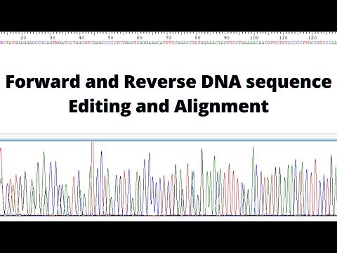 Forward and Reverse DNA Sequence Editing and Alignment