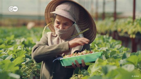 Farming robots: The future of agriculture?