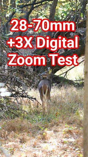Sigma 28-70mm f2.8 ZOOM TEST: 28mm vs 70mm vs 70mm + 3X Digital Zoom (Sony a7C2 a7iv* FX2* #zoomtest