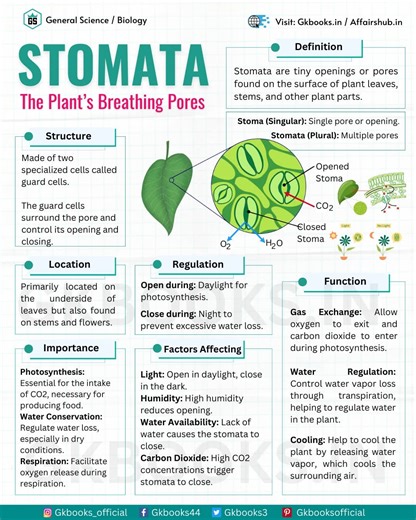 17K views · 322 reactions |  헦혁헼헺헮혁헮: 헧헵헲 헕헿헲헮혁헵헶헻헴 헣헼헿헲혀 헼헳 헣헹헮헻혁혀...