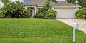 Diamond Zoysia: The Essential Guide