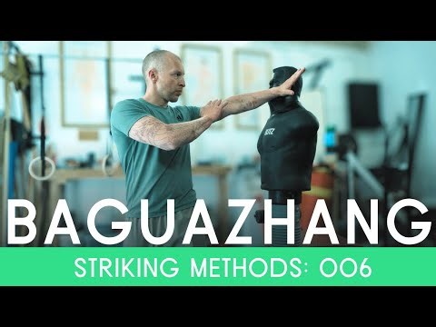 Baguazhang Striking Method #6 | Snake Wraps Around