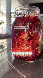 77K views · 2K reactions |  Mullein + Hibiscus ExtractSolvent: Ethyl...
