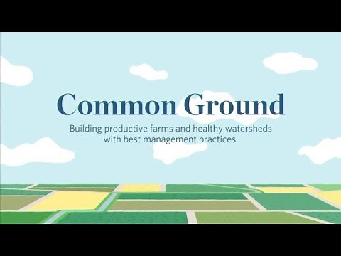 Common Ground: Buffer Strips