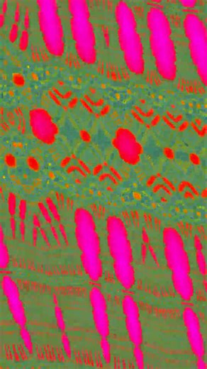 Burning ship #fractals #fractal #mathshorts #maths