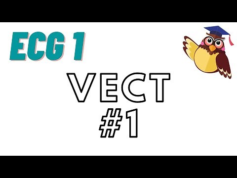 Espaces vectoriels : cours 7 : Vect #1