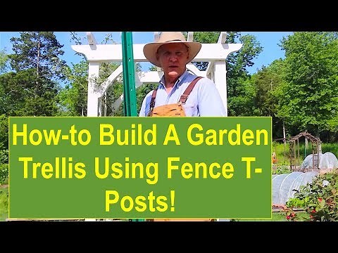 How-to Build a Garden Trellis Using Fence T-Posts