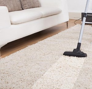 How to Clean an Area Rug on Hardwood Floor – DIY Guide - WFC Wood Floor Cleaner