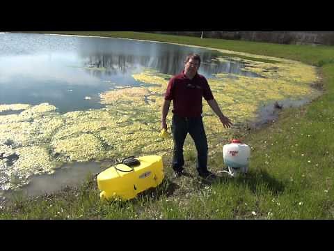 Controlling Algae in Farm Ponds