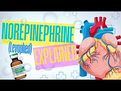 Norepinephrine (Levophed) Explained: Key Uses and Dosing in Shock Management | Medication Minute
