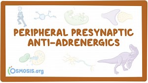 Adrenergic antagonists: Presynaptic: Video, Causes, & Meaning | Osmosis