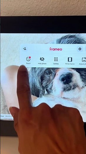 Frameo 10.1 Smart Digital Picture frame review | gift idea