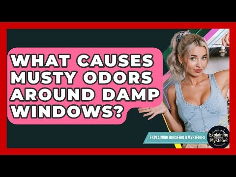 What Causes Musty Odors Around Damp Windows? - Explaining Household Mysteries