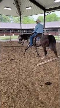 Horse Training | Pat Puckett’s Pole Exercise | Tennessee Walking Horses