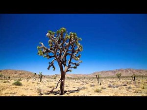 Aardrijkskunde soorten neerslag stuwingsneerslag, stijgingsneerslag en frontale neerslag
