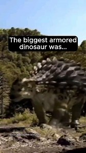11K views · 7 comments | Meet Ankylosaurus, the armored tank of the...