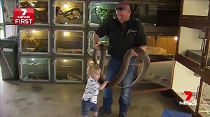 112K views · 1.2K reactions | Australia's youngest snake catcher...