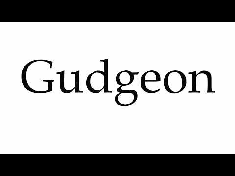 How to Pronounce Gudgeon