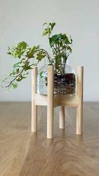 Making Round Dowels with a Router | DIY Plant Stand #shorts #woodworking #diy