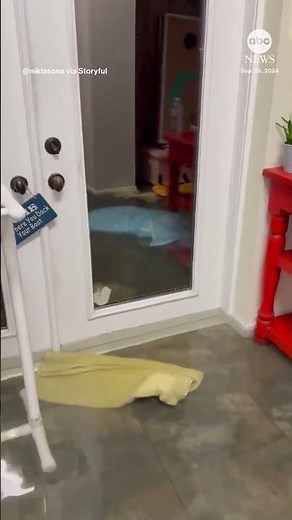 Homes flooded as 'catastrophic' Hurricane Helene smashes Florida #news #weather #hurricanehelene