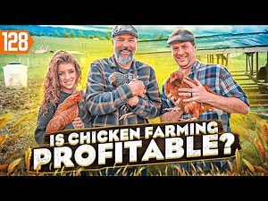 Everything You Need to Know to Create a Profitable Poultry Farm