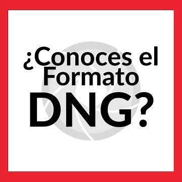 ¿Conoces el formato DNG?