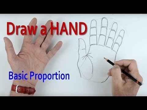 How to Draw a Hand: Part 1 Basic Proportion