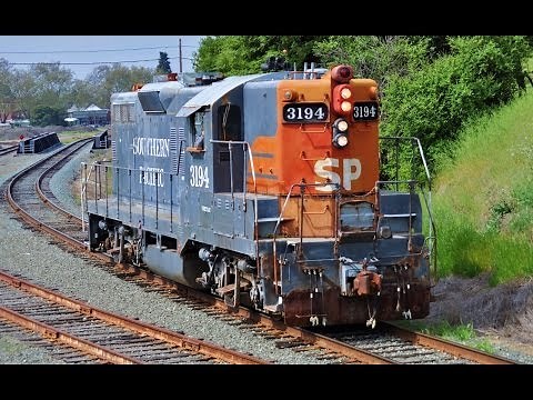 Diesel Trains Galore!