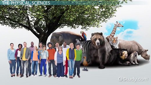 Physical Science Definition, Branches & Examples