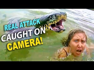 When Snakes Attack – Real Footage Caught on Camera