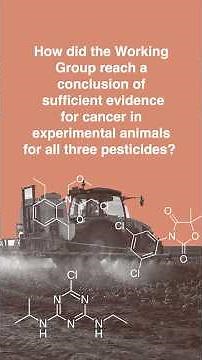 How did the Working Group reach a conclusion?