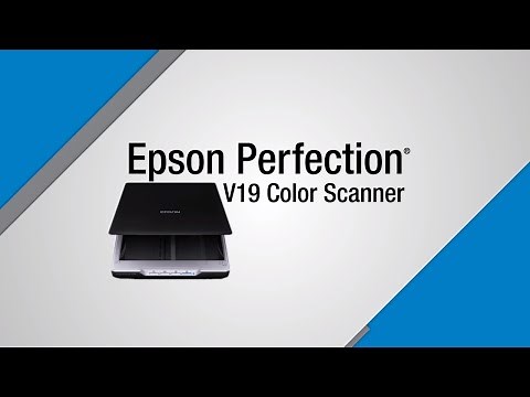 Epson Perfection V19 Scanner | Take the Tour