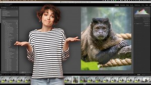 The Best Way to Import Images Into Lightroom
