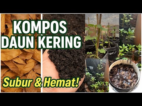 Cara Membuat Kompos Organik Dari Daun Kering | Hemat, Mudah & Ramah Lingkungan