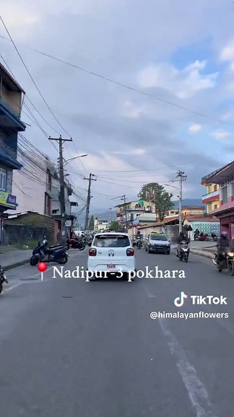 📍Nadipur-3 Pokhara #himalayanflowers #pokhara #flowershop #flowers #boquet